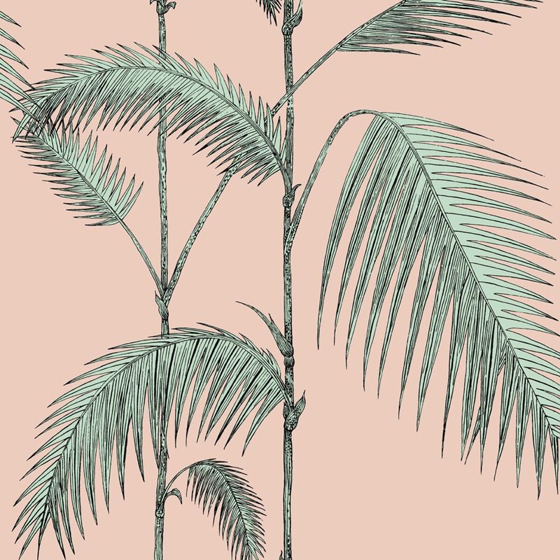 Order 112/2005 Cs Palm Leaves Plaster Pink Mint By Cole and Son Wallpaper