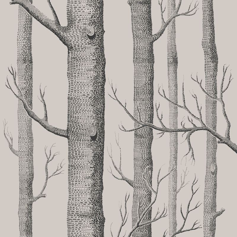 Shop 112/3009 Cs Woods Linen Charcoal By Cole and Son Wallpaper