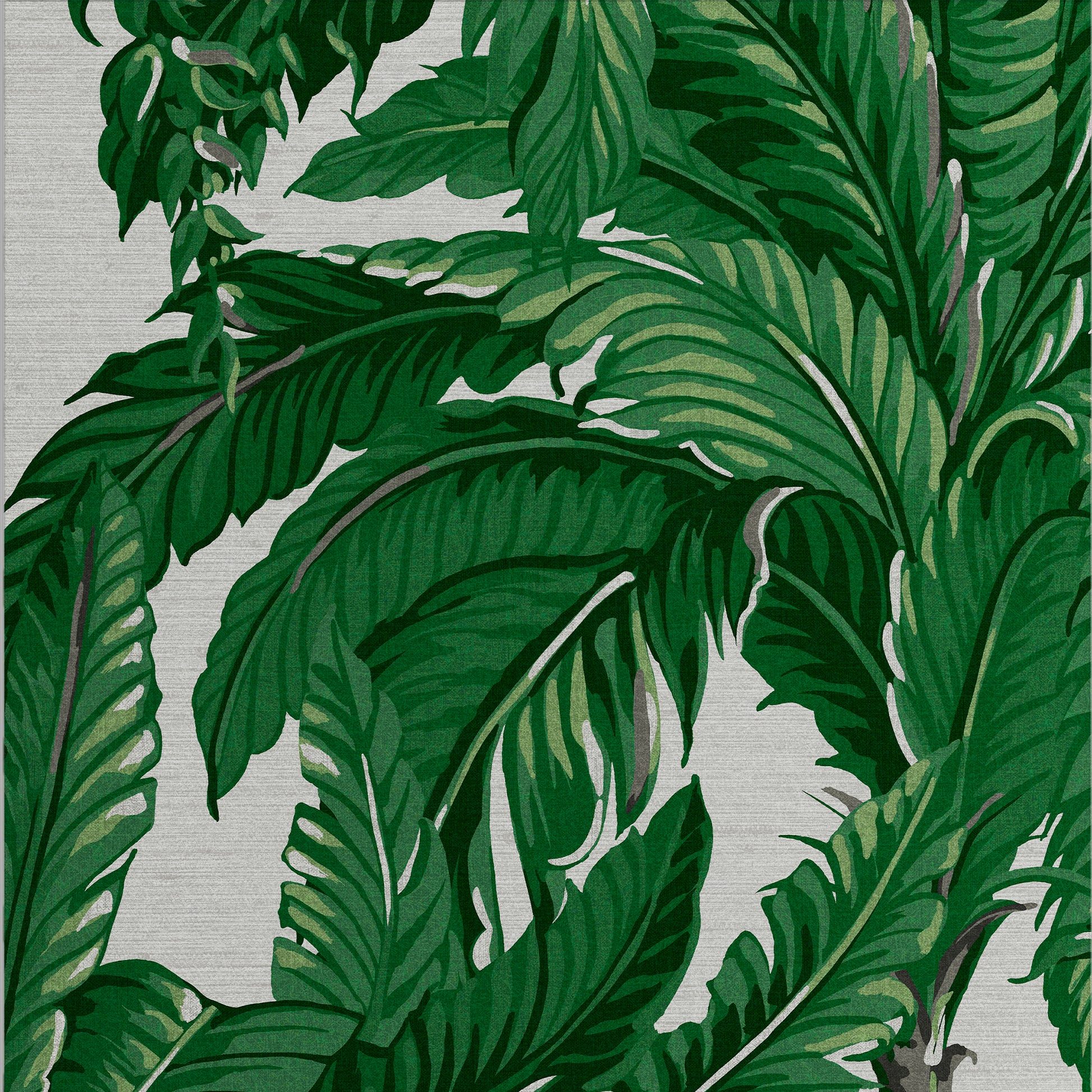 Find Graham & Brown Wallpaper Daintree Palm Pearl Removable Wallpaper