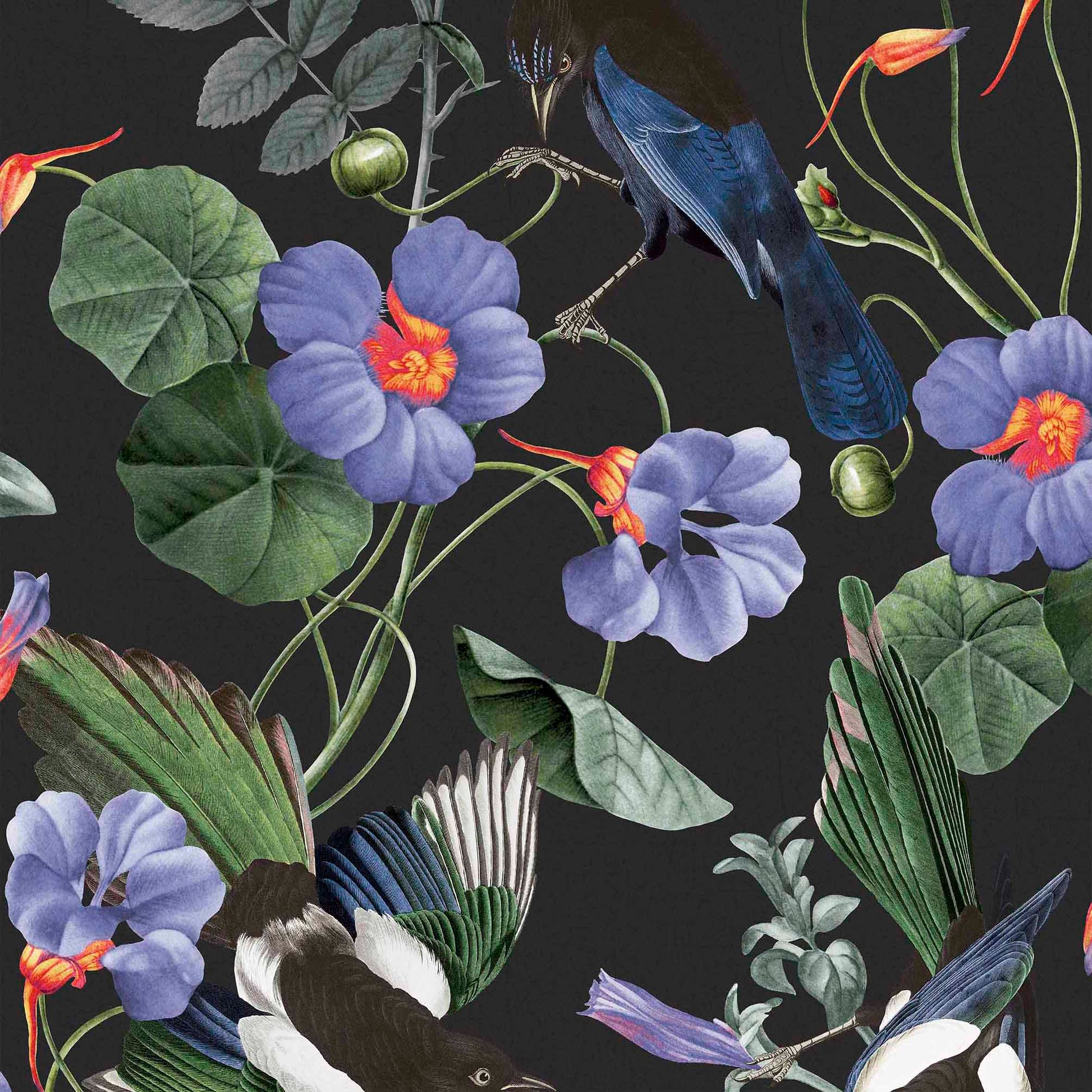 Select Graham & Brown Wallpaper Magpie Removable Wallpaper