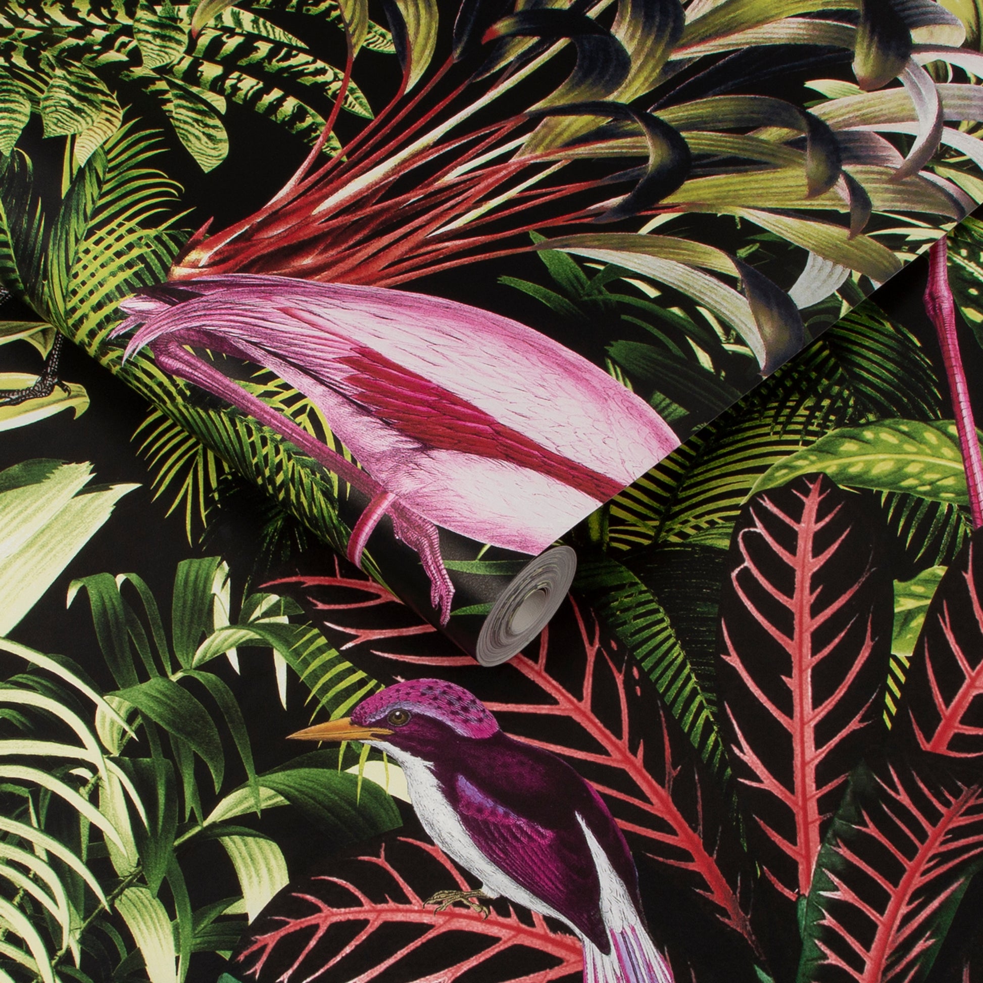 Looking for Graham & Brown Wallpaper Midnight Tropic Removable Wallpaper_3