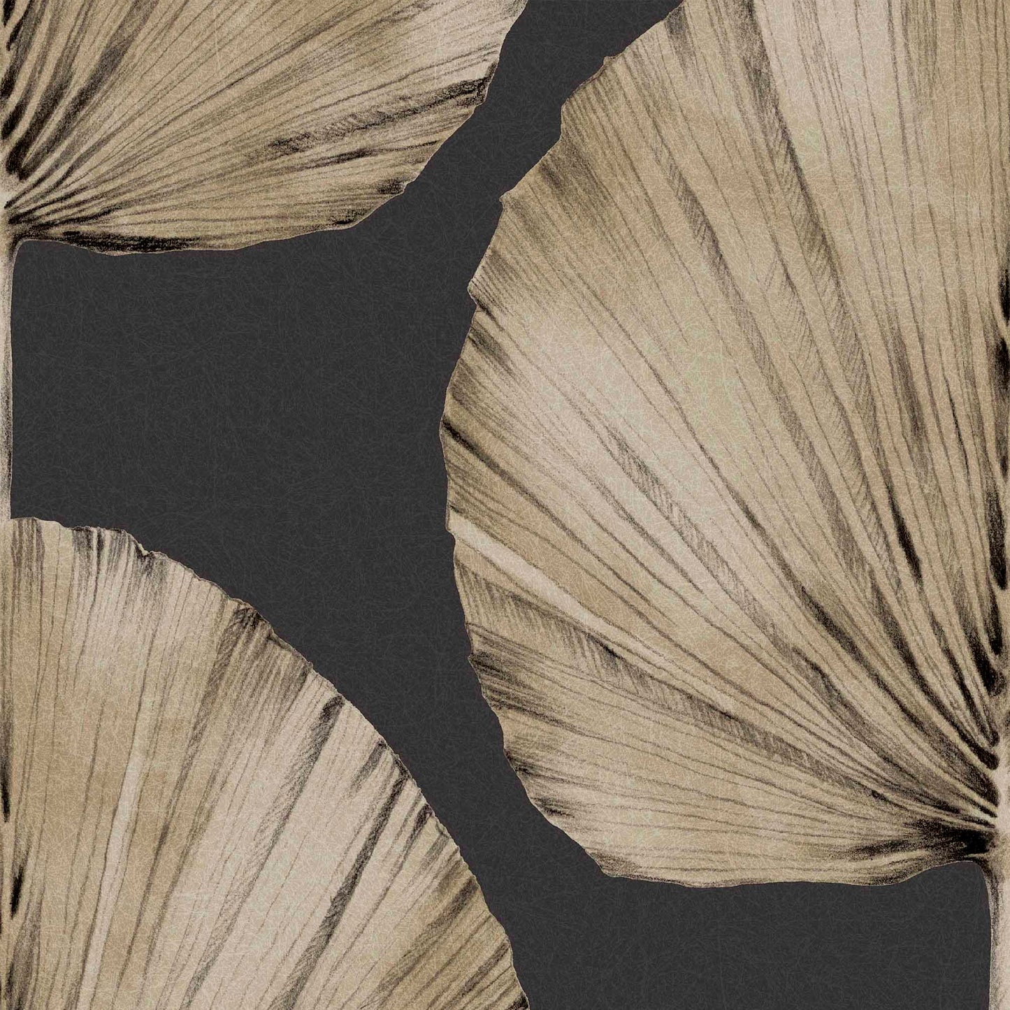 Select Graham & Brown Wallpaper Palm Fan Charcoal Removable Wallpaper