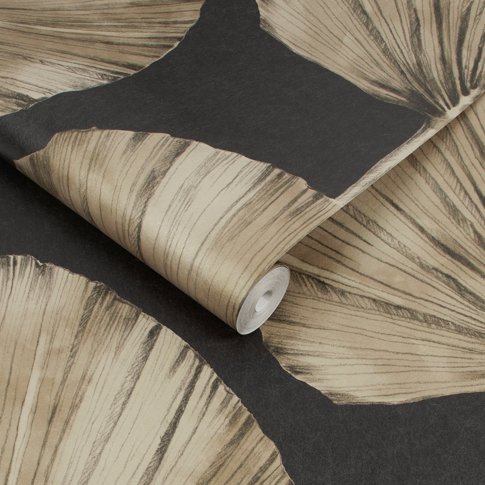 Select Graham & Brown Wallpaper Palm Fan Charcoal Removable Wallpaper_3