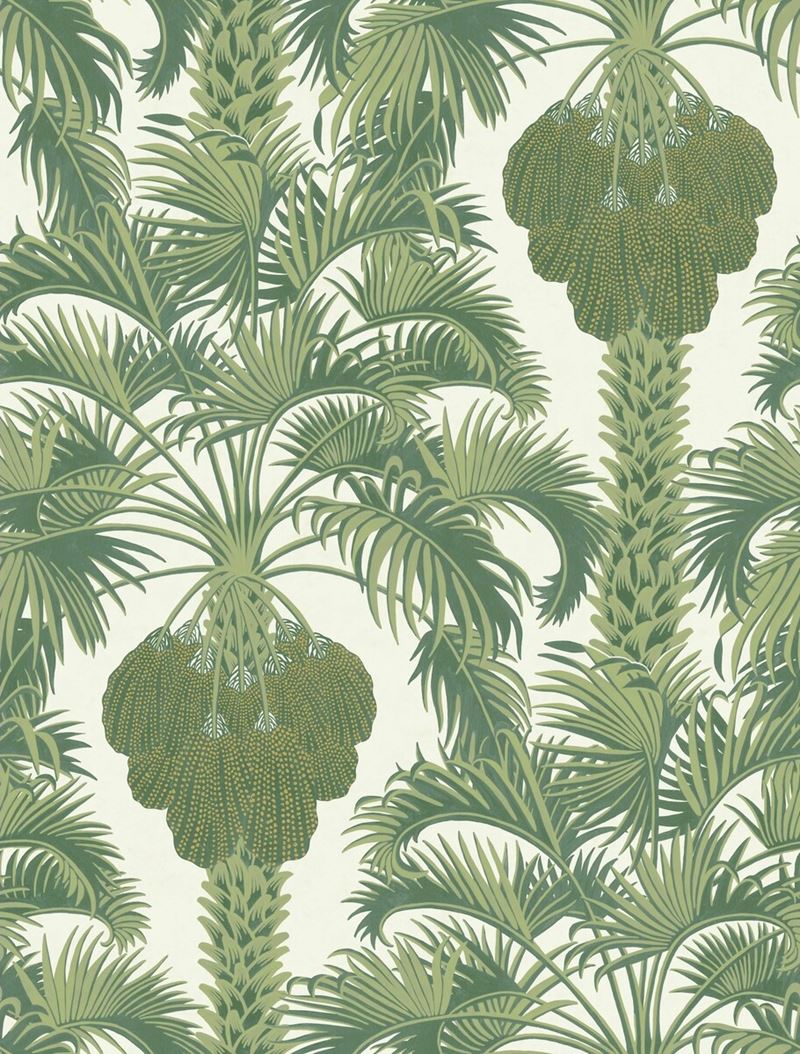 Select 113/1004 Cs Hollywood Palm Leaf Green By Cole and Son Wallpaper