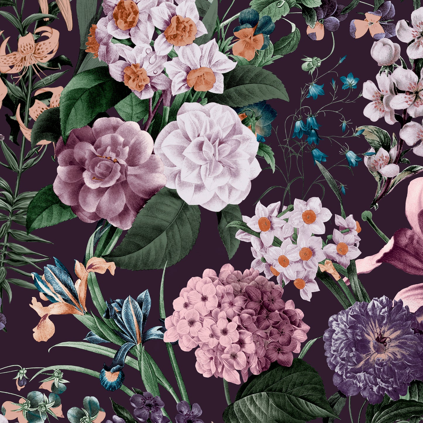 View Graham & Brown Wallpaper Glasshouse Flora Amethyst Removable Wallpaper