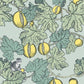 Purchase 114/1002 Cs Frutto Proibito Seafoam And Lemon By Cole and Son Wallpaper