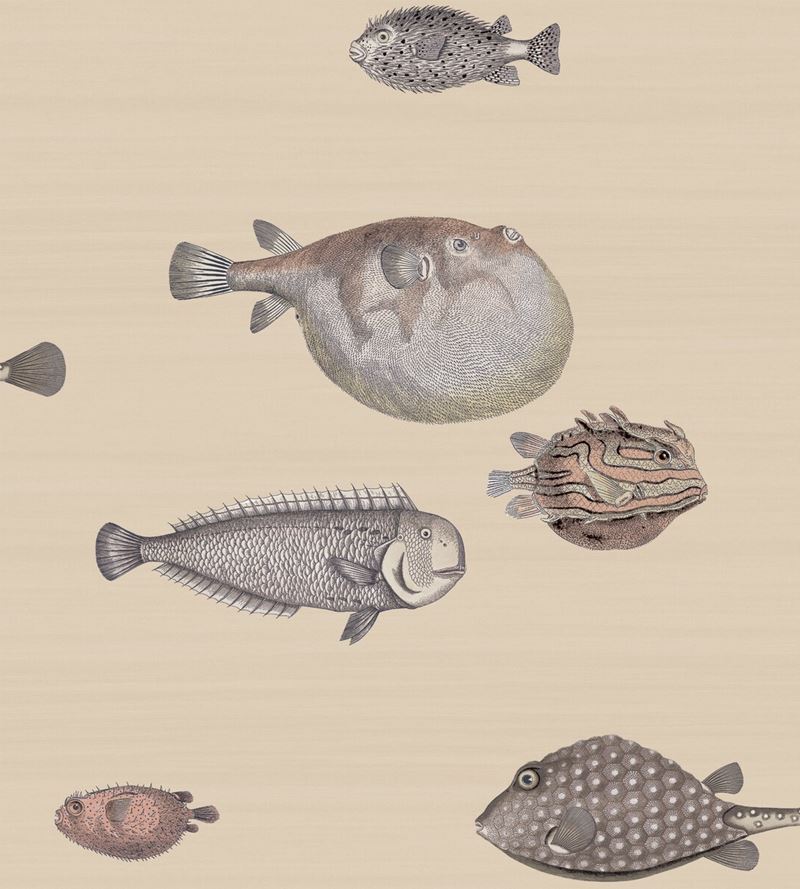 Buy 114/16033 Cs Acquario Taupe By Cole and Son Wallpaper