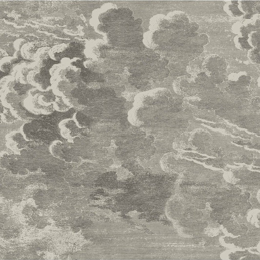 View 114/2004 Cs Nuvolette Gilver And Charcoal By Cole and Son Wallpaper