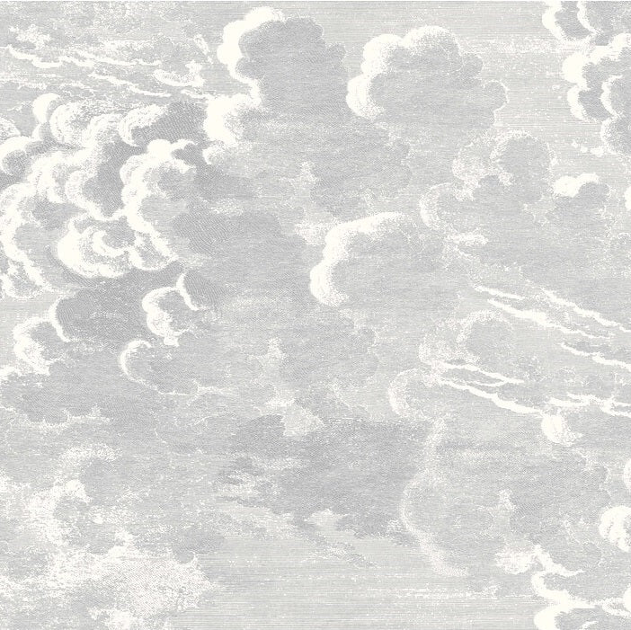 Find 114/28055 Cs Nuvolette Soot Snow By Cole and Son Wallpaper