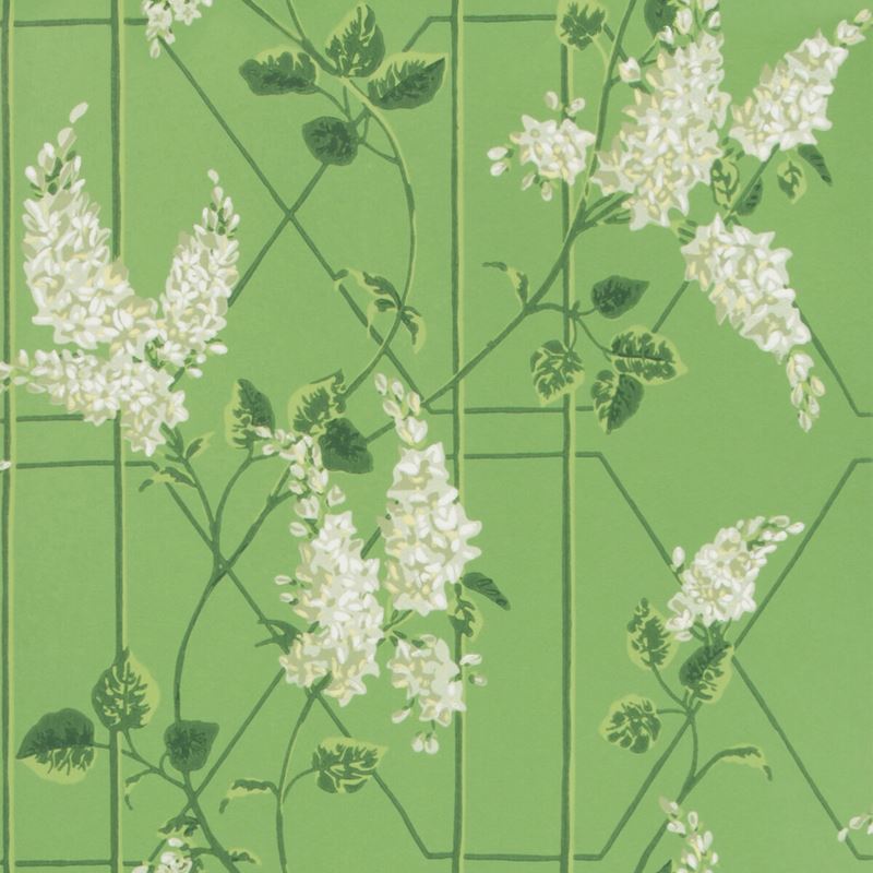 Acquire 115/5016 Cs Wisteria Sage Leaf Green By Cole and Son Wallpaper