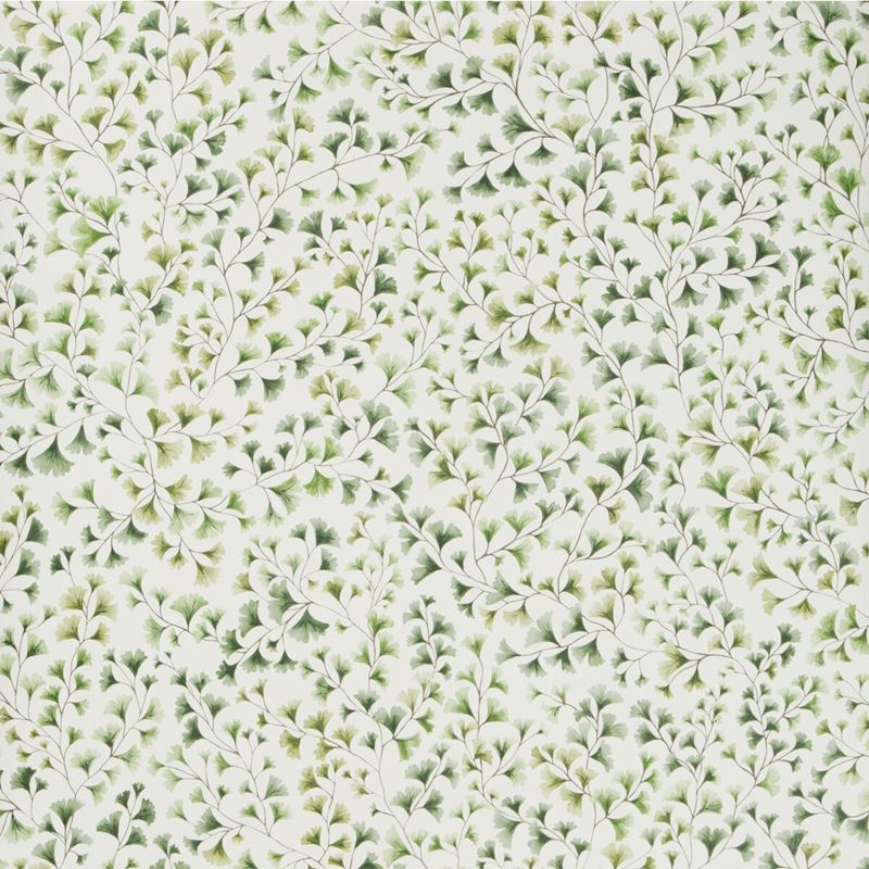 Shop 115/6018 Cs Maidenhair Olive By Cole and Son Wallpaper