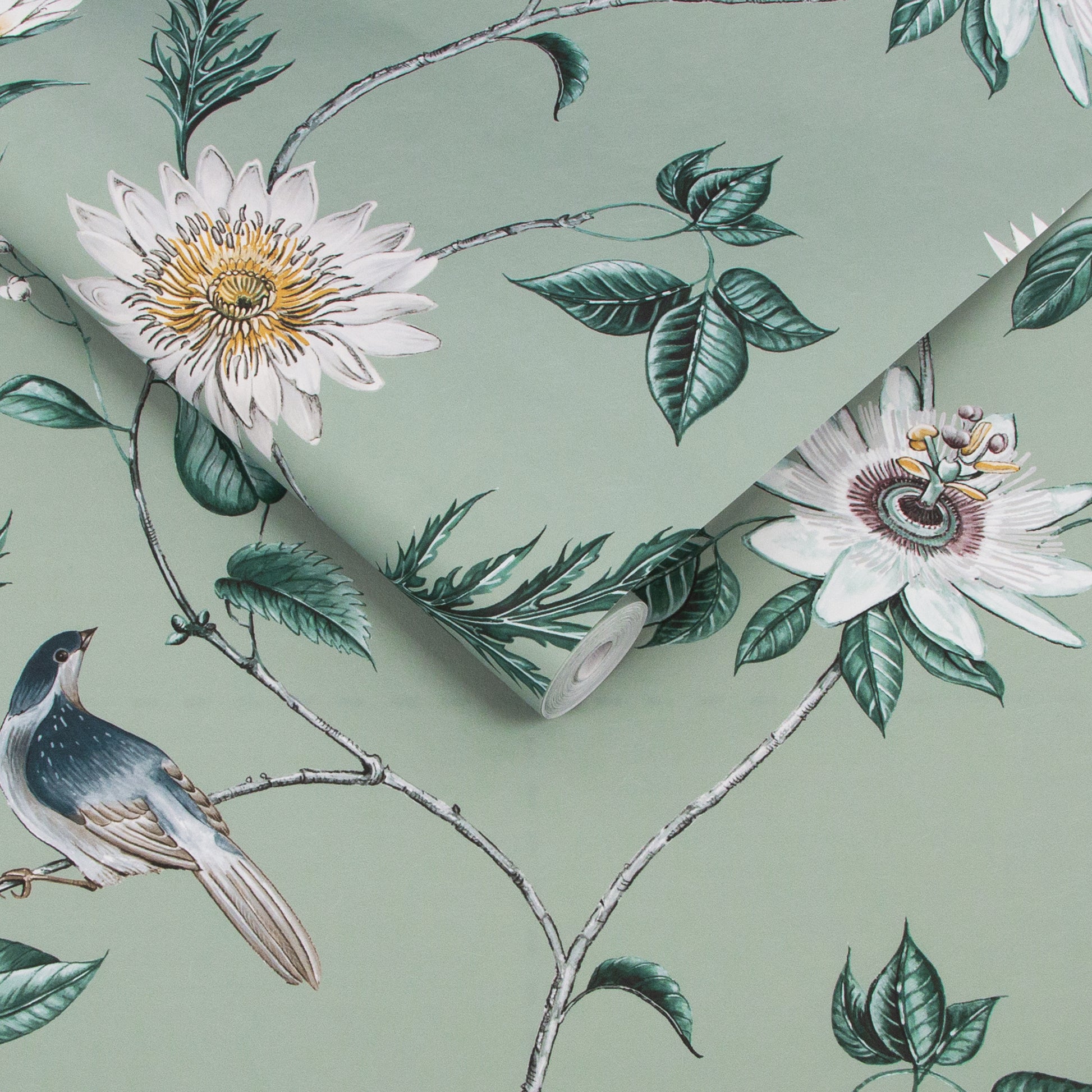 Find Graham & Brown Wallpaper Nuit Sage Removable Wallpaper_3