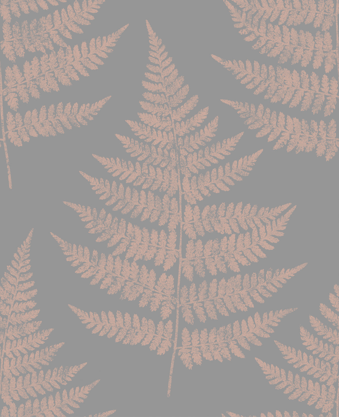 Find Graham & Brown Wallpaper Royal Fern Dove Removable Wallpaper