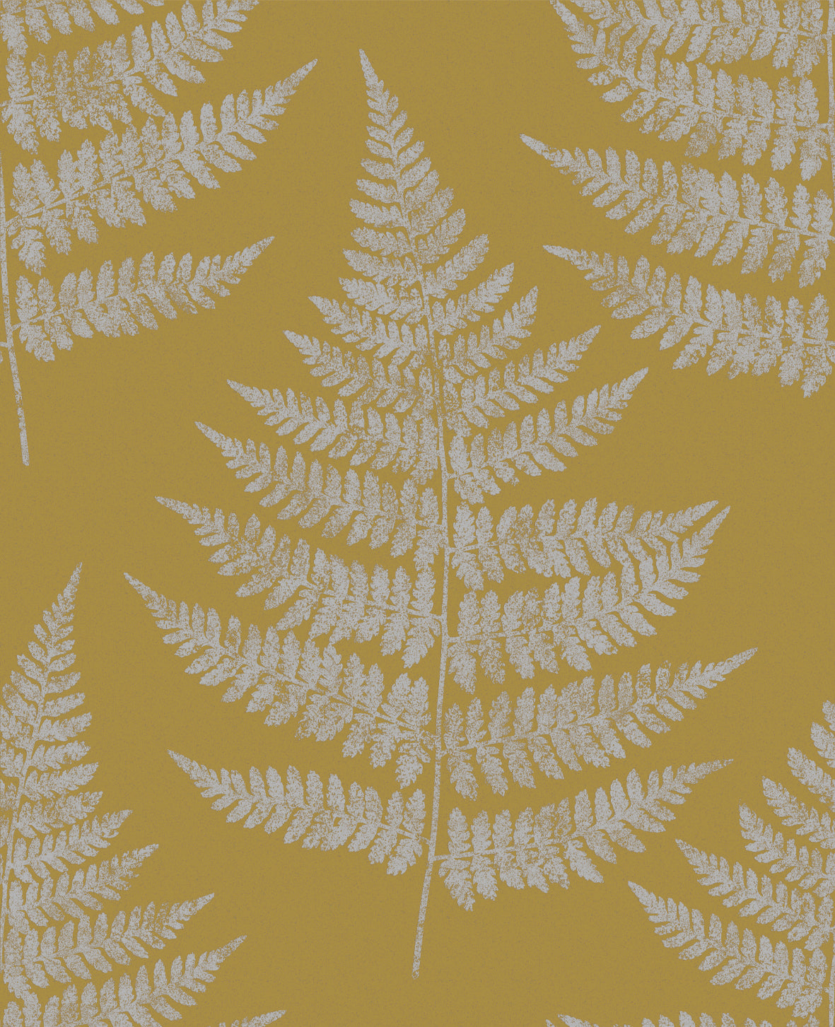 Looking for Graham & Brown Wallpaper Royal Fern Summer Removable Wallpaper