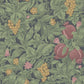 Buy 116/2008 Cs Vines Of Pomona Crim Oliv By Cole and Son Wallpaper