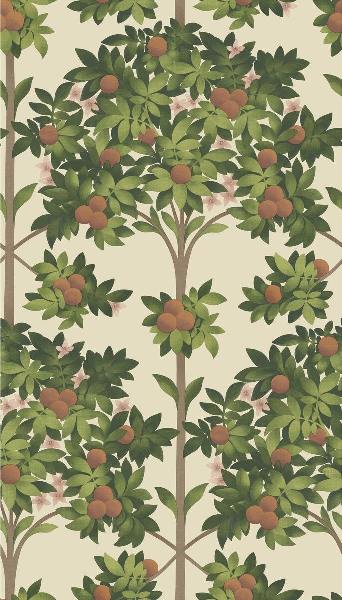 Search 117/1001 Cs Orange Blossom Orange And Spring Green Parch By Cole and Son Wallpaper