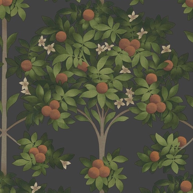 Looking for 117/1003 Cs Orange Blossom Orange And Spring Green Black By Cole and Son Wallpaper
