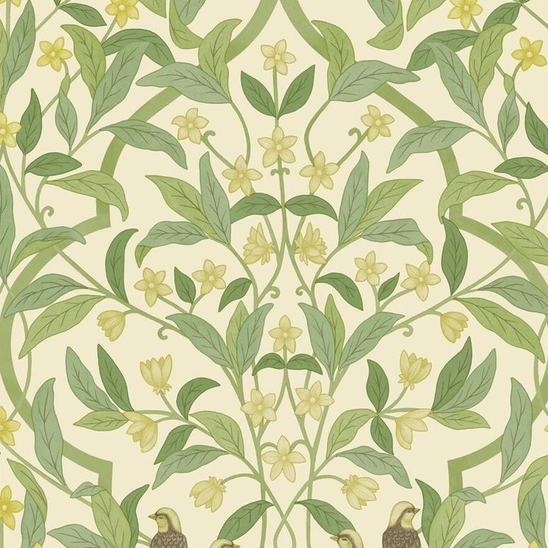 Acquire 117/10031 Cs Jasmine And Serin Symphony Chartreuse Grn Wt By Cole and Son Wallpaper