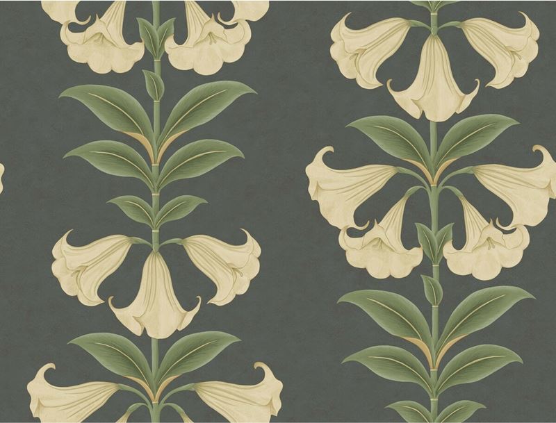 Order 117/3006 Cs Angels Trumpet Cream Olive Green Charcoal By Cole and Son Wallpaper