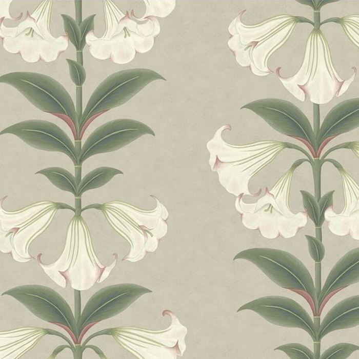 Save on 117/3007 Cs Angels Trumpet Chalk And Sage On Stone By Cole and Son Wallpaper