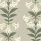 Acquire 117/3007 Cs Angels Trumpet Chalk And Sage On Stone By Cole and Son Wallpaper