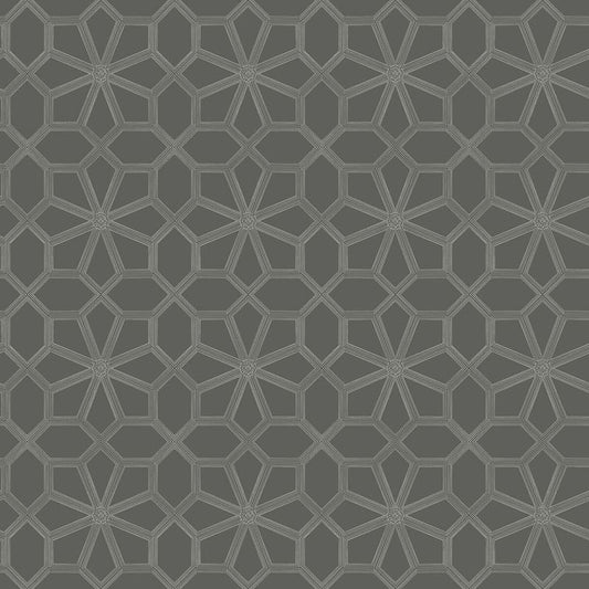 Shop 118/16037 Cs Wolsey Stars Chalk Charcl By Cole and Son Wallpaper