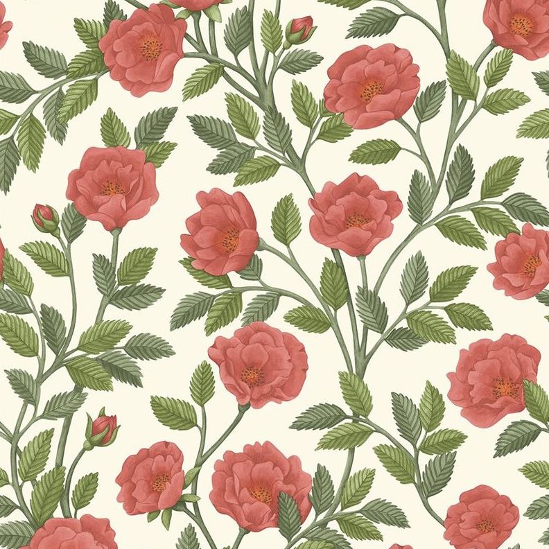 Acquire 118/7013 Cs Hampton Roses Randsgrn Pmnt By Cole and Son Wallpaper