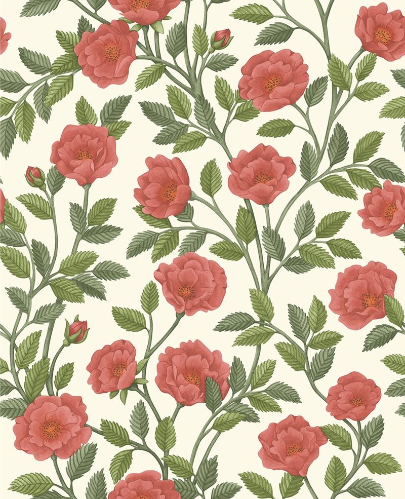 Search 118/7013 Cs Hampton Roses Randsgrn Pmnt By Cole and Son Wallpaper