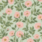 Buy 118/7014 Cs Hampton Roses Randlgrn Degg By Cole and Son Wallpaper