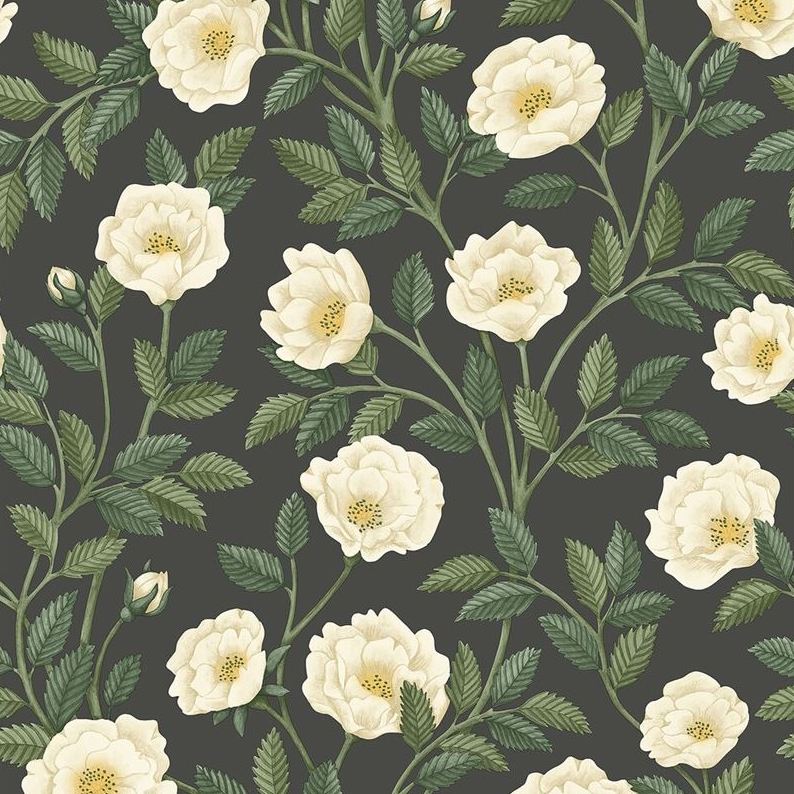 Looking for 118/7016 Cs Hampton Roses Crmandfgrn Ch By Cole and Son Wallpaper