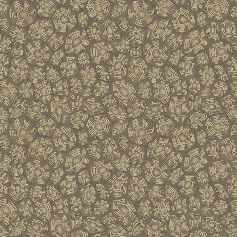 Acquire 119/4020 Cs Savanna Shell Mtglvrcdrandmtgld By Cole and Son Wallpaper