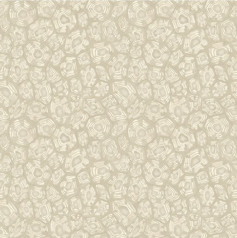 Search 119/4021 Cs Savanna Shell Prchmnlnnandmglvr By Cole and Son Wallpaper