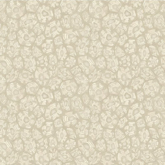 Search 119/4021 Cs Savanna Shell Prchmnlnnandmglvr By Cole and Son Wallpaper