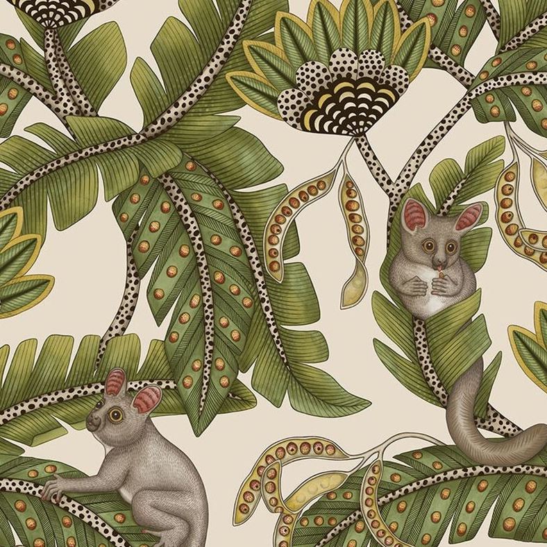 Purchase 119/7032 Cs Bush Baby Sprgrnandmrgld Stn By Cole and Son Wallpaper