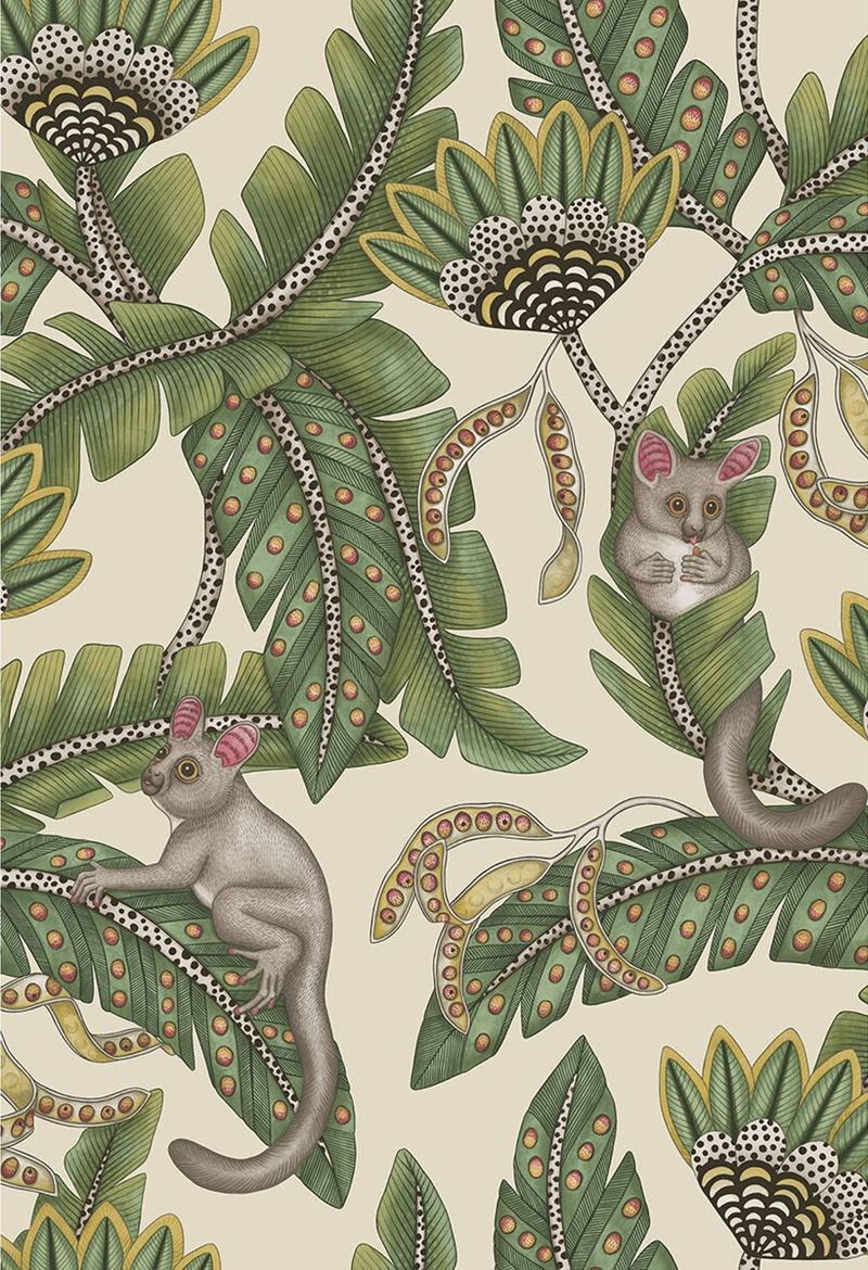 Search 119/7035 Cs Bush Baby Sgeandchrt Prchmnt By Cole and Son Wallpaper
