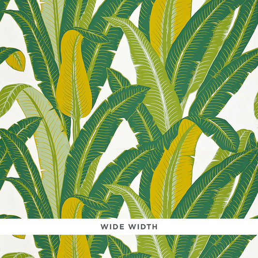 Save on 2707230 Tropical Isle Green On White by Schumacher Wallpaper