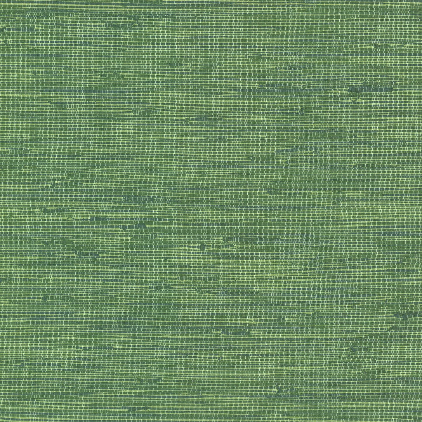 Shop 2766-24419 KItchen  Bath Essentials Lycaste Green Weave Texture Brewster Wallpaper