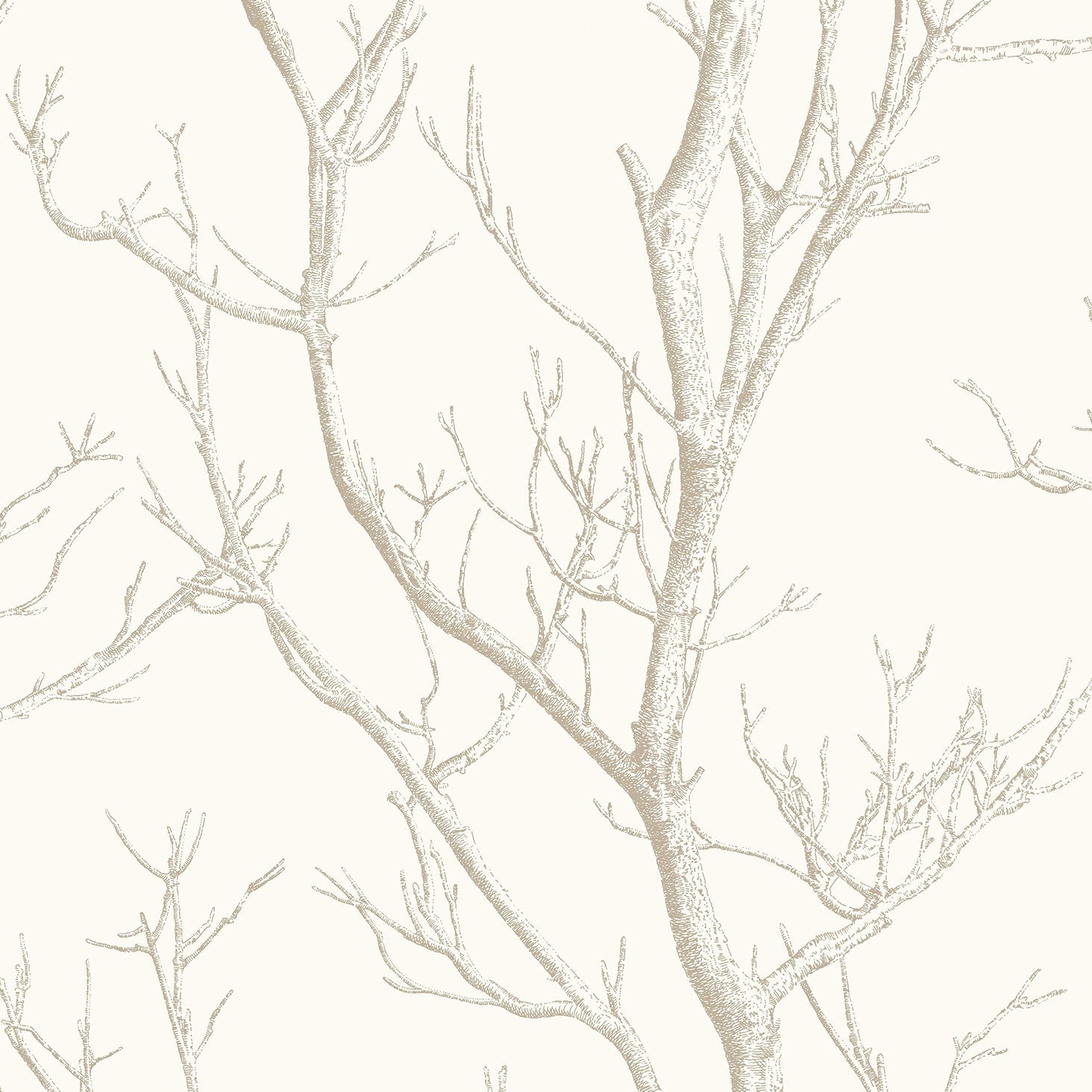 Save 2766-24634 KItchen  Bath Essentials Laelia White Silhouette Tree Brewster Wallpaper
