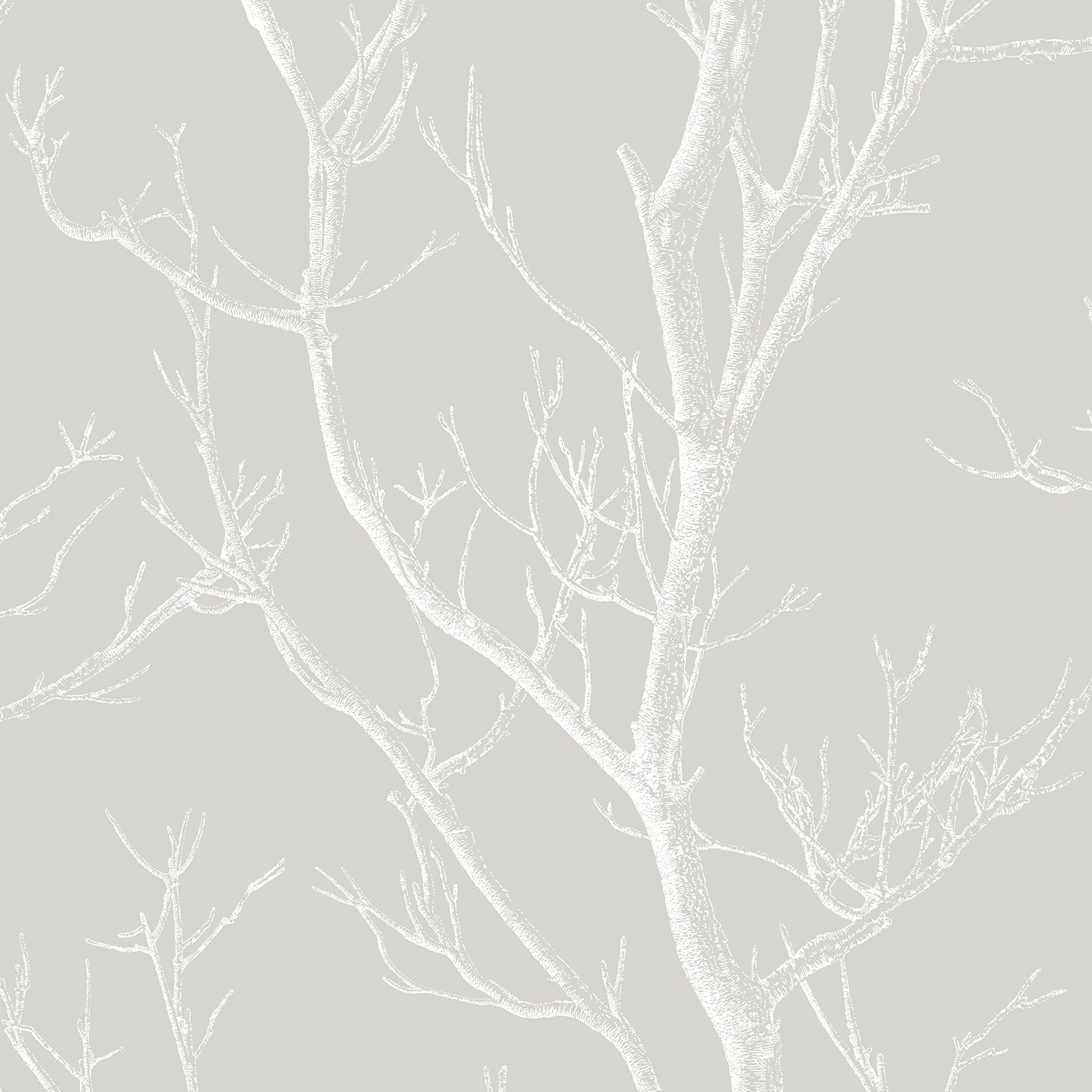 Find 2766-24635 KItchen  Bath Essentials Laelia Light Grey Silhouette Tree Brewster Wallpaper