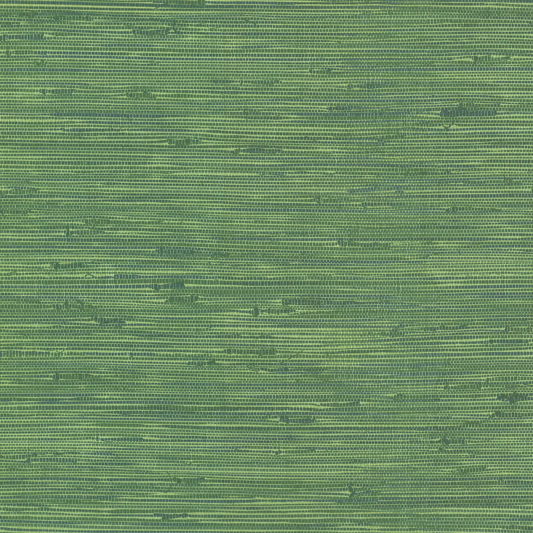 Find 2767-24419 Fiber Green Weave Texture Techniques & Finishes III Brewster