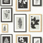 Looking 2773-937503 Neutral Black White Whites & Off-Whites Novelty Wallpaper by Advantage