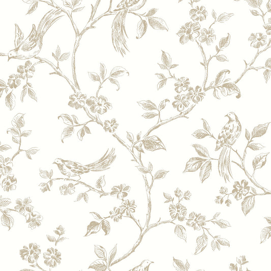 Select 2813-24974 Kitchen Neutrals Trails Wallpaper by Advantage