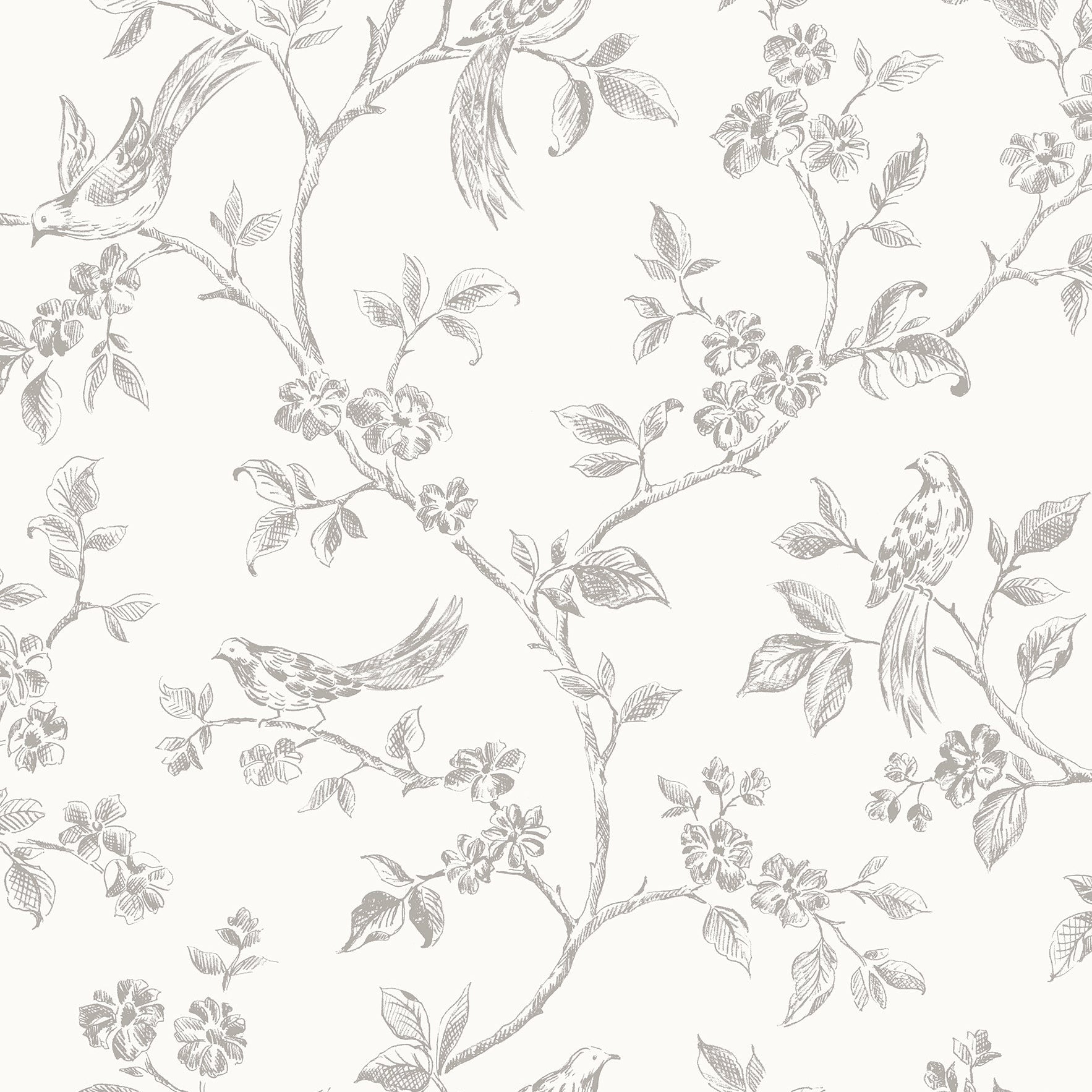 Find 2836-24977 Shades of Grey Greys Florals Flowers Wallpaper by Advantage