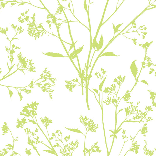 Shop 2927-80704 Newport Southport Chartreuse Delicate Branches Chartreuse A-Street Prints Wallpaper