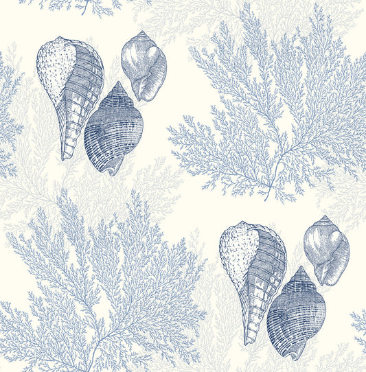 Acquire 2927-81202 Newport Nauset Blue Seashell Shores Blue A-Street Prints Wallpaper