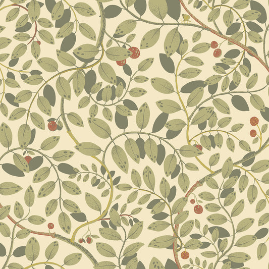 Order 2932-65107 Lina Kirke Green Leafy Vines Green A-Street Prints Wallpaper