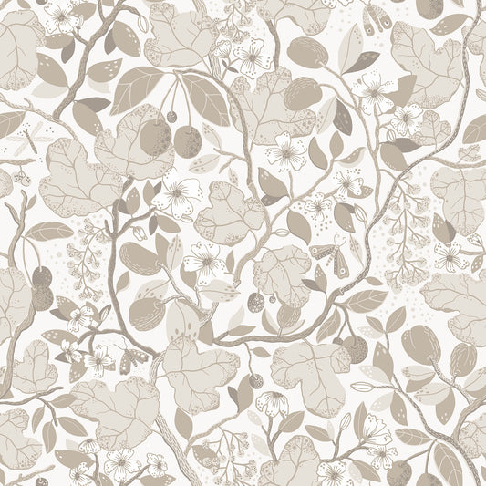 Shop 2932-65120 Lina Ewald Beige Garden Vines Neutral A-Street Prints Wallpaper