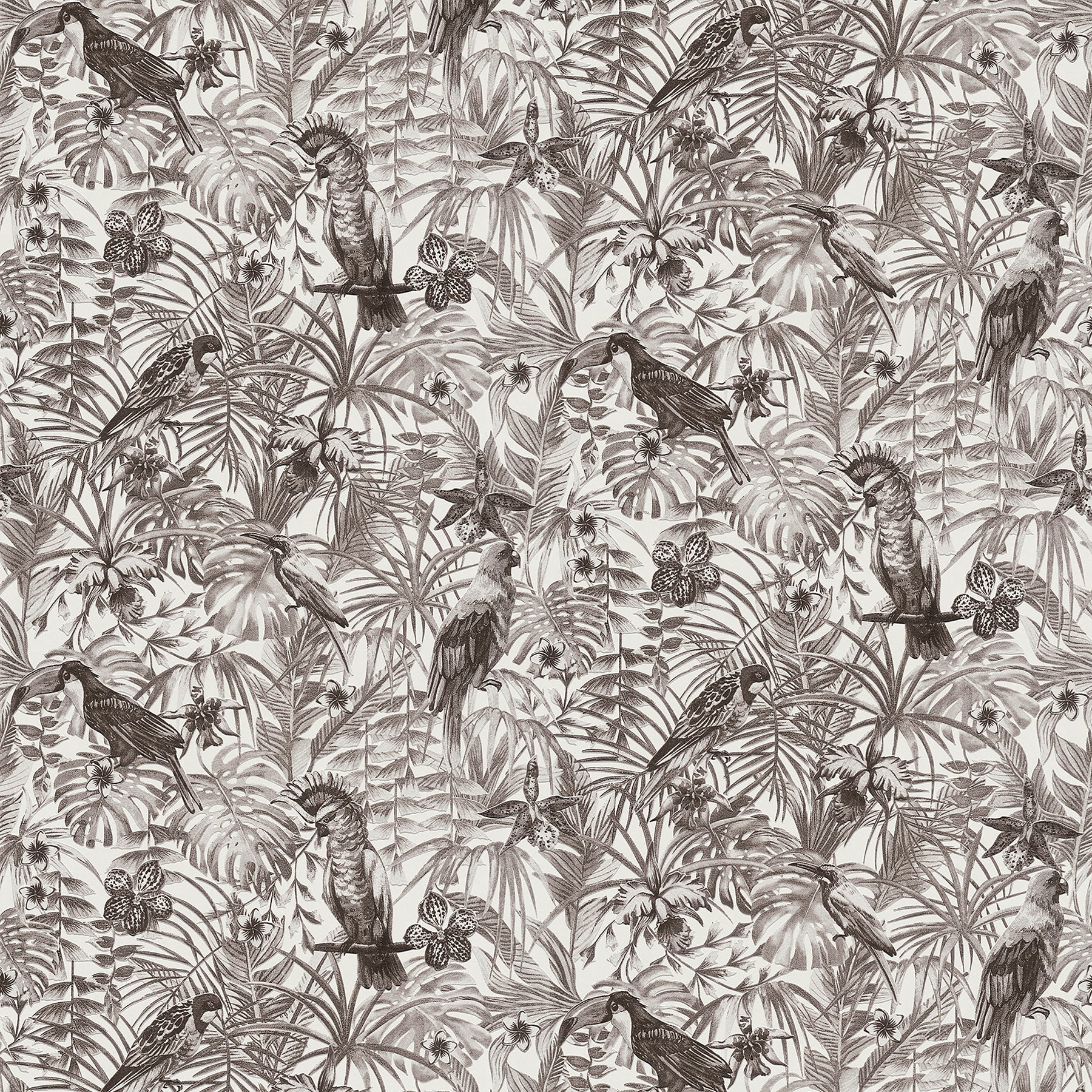 Search 2979-37210-5 Bali Susila Grey Tropical Grey by Advantage Wallpaper