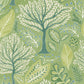 Purchase 2980-26184 Advantage Wallpaper, Kiah Green Forest - Splash