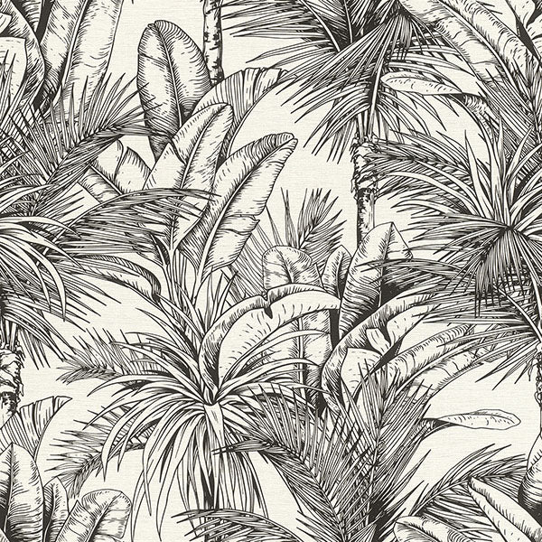 Purchase 2980-478013 Advantage Wallpaper, Serra White Palm - Splash